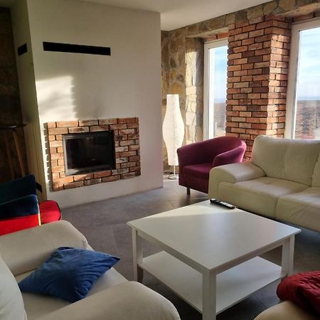 Mlynska 8 Opole-Gorki Villa Buitenkant foto