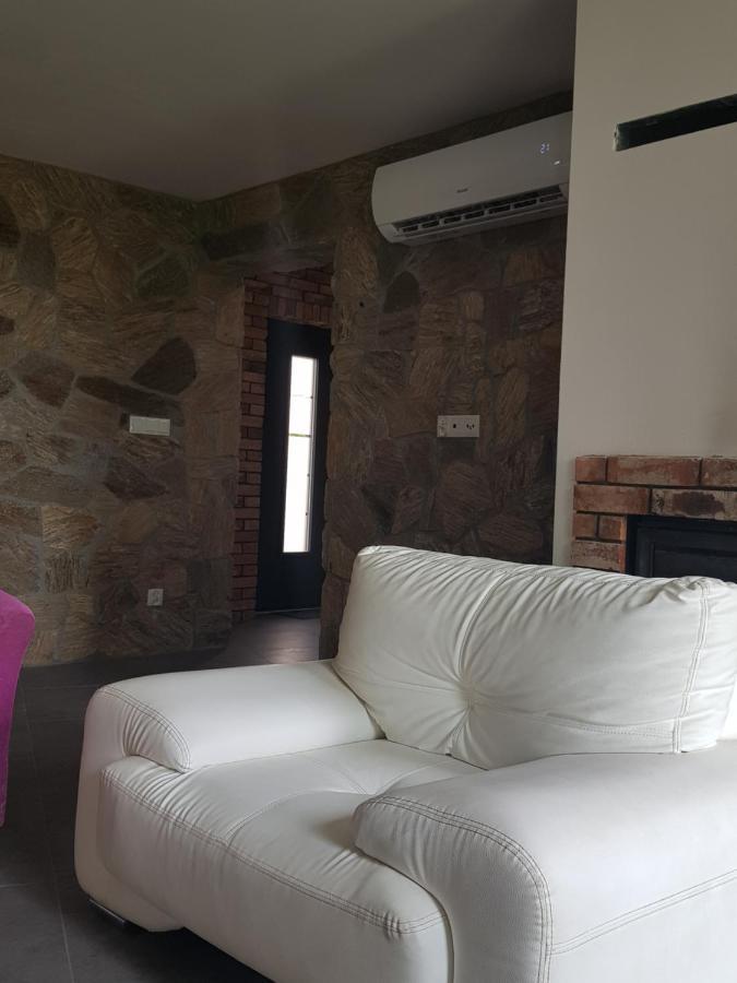 Mlynska 8 Opole-Gorki Villa Buitenkant foto